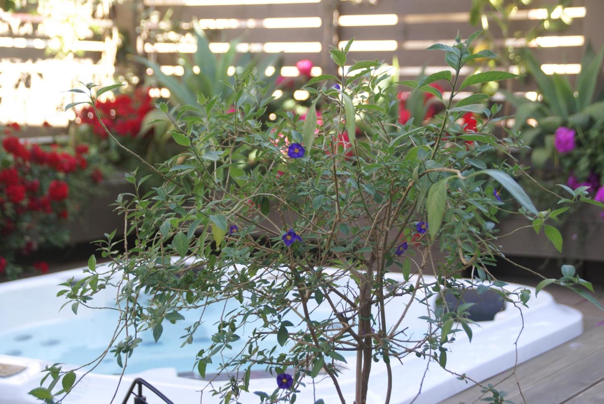 Fra Le Righe Bed & Breakfast Catania Bagian luar foto
